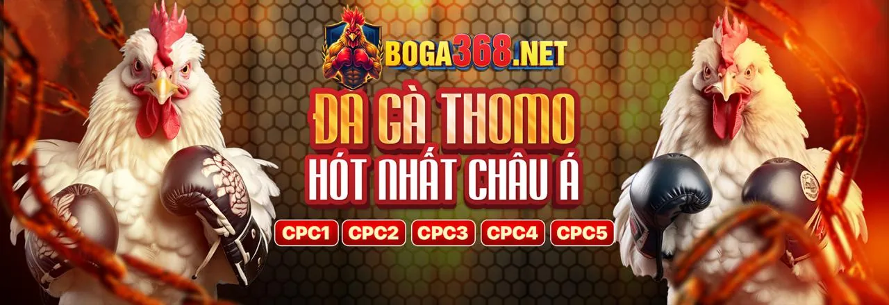 Điều Khoản Dịch Vụ vtc88
